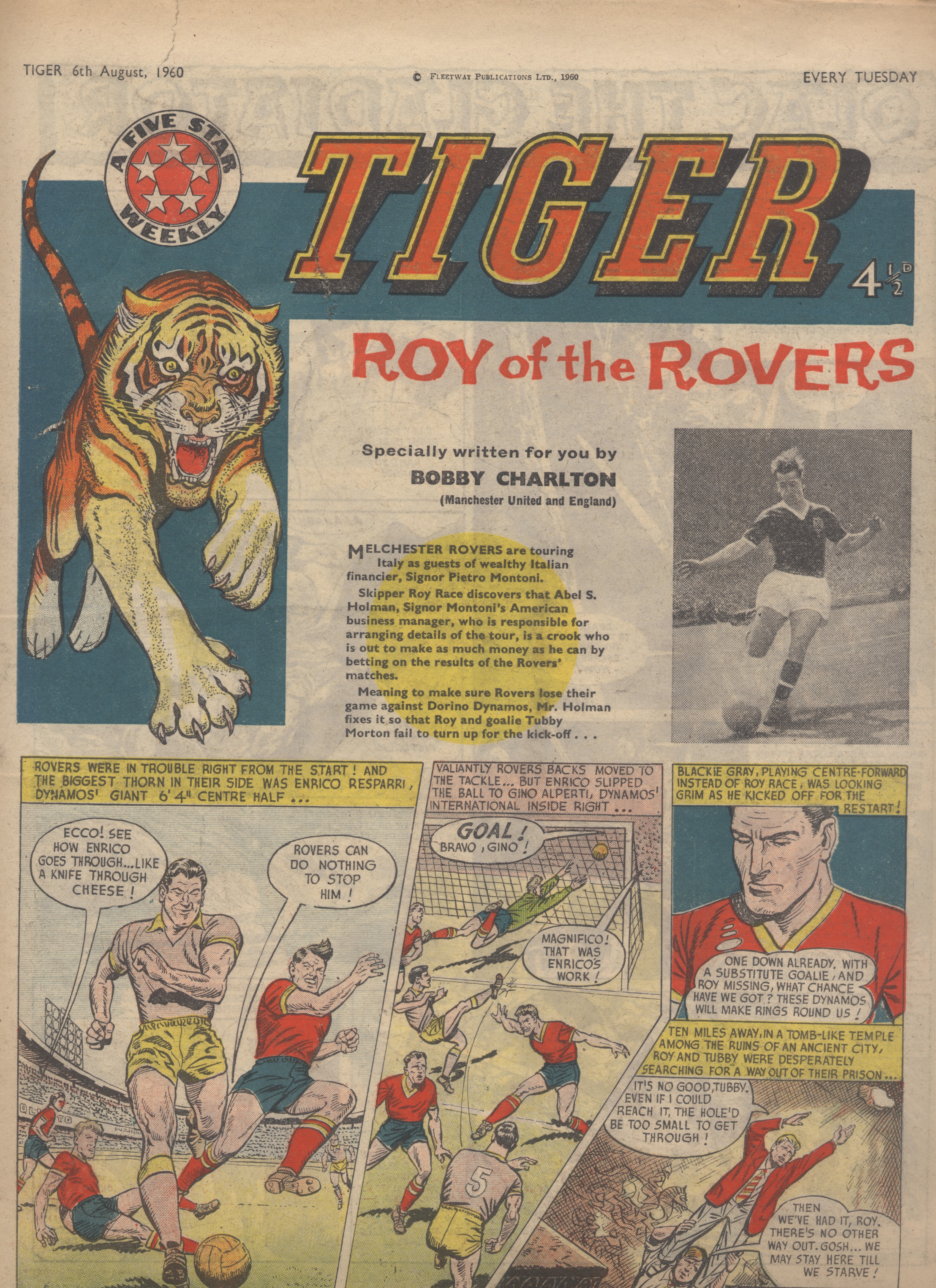 Tiger